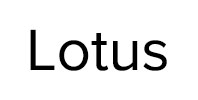Ремонт стиральных машин Lotus в Котельниках